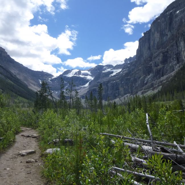 Stanley glacier trail deals kootenay national park